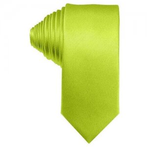 Салатовый галстук G-Faricetti G11ZE-6-571 G.Faricetti. Цвет: зеленый