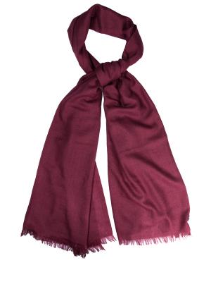 Однотонный шарф из кашемира Cruciani. Цвет: бордовый