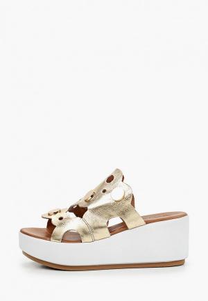 inuovo обувь история бренда. Смотреть фото inuovo обувь история бренда. Смотреть картинку inuovo обувь история бренда. Картинка про inuovo обувь история бренда. Фото inuovo обувь история бренда inuovo обувь история бренда. Смотреть фото inuovo обувь история бренда. Смотреть картинку inuovo обувь история бренда. Картинка про inuovo обувь история бренда. Фото inuovo обувь история бренда