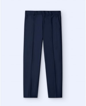 Мужские классические брюки из хлопка с застежкой на пуговицы , темно-синий Adolfo Dominguez. Цвет: синий