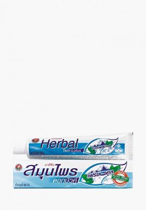 Зубная паста Twin Lotus Herbal Fresh&Cool С травами свежесть и прохлада, 100 гр. Цвет: белый