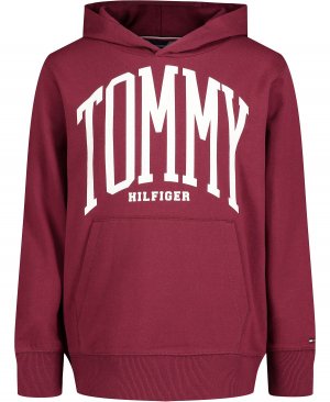 Пуловер с капюшоном Little Boys Tommy из переработанного материала Hilfiger