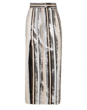 Длинная юбка RASARIO. Цвет: серебристый