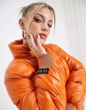 Ярко-оранжевая куртка-пуховик с логотипом на спине Il Sarto. Цвет: оранжевый
