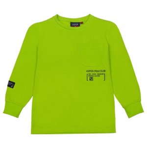 Лонгслив для мальчика Aspen Polo Club 1031M0688 цвета лайма 4 года. Цвет: зеленый