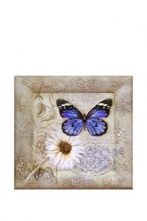 Картина-репродукция Бабочка 1 Декарт. Цвет: бежевый, коричневый