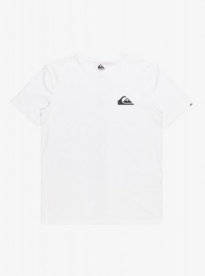 Мужская футболка MW Mini QUIKSILVER. Цвет: белый