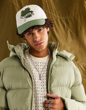 Мягкая хлопковая кепка ASOS DESIGN с вышивкой в ​​виде кленового листа цвета экрю и выбеленного зеленого