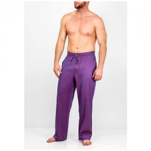 Брюки , карманы, размер 50, фиолетовый GREG. Цвет: фиолетовый