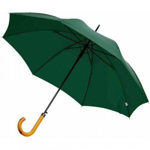 Зонт-трость , зеленый FARE. Цвет: зеленый