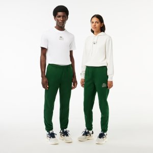 Спортивная одежда Мужские спортивные брюки из хлопка Lacoste. Цвет: зелёный