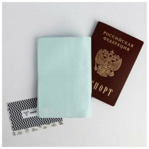 Воздушная паспортная обложка-облачко Hello pandastic winter ArtFox. Цвет: голубой