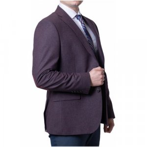 Пиджак , размер 50/176, бордовый Truvor. Цвет: бордовый