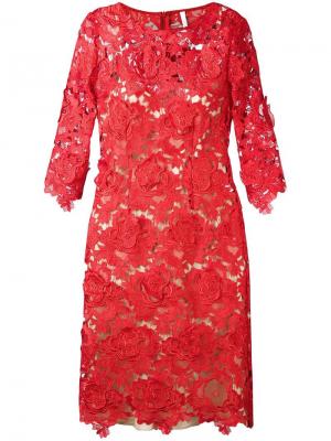 Кружевное платье с длинными рукавами Alcoolique. Цвет: красный
