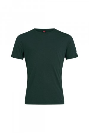 Клубная однотонная футболка , зеленый Canterbury