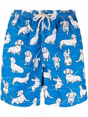 Плавки-шорты Happy Dog Mc2 Saint Barth. Цвет: синий