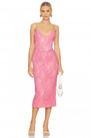 Платье миди Hadley Midi Lace Dress, цвет Petal Pink Bardot
