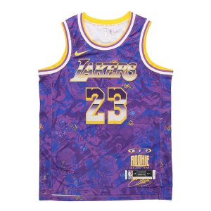 Майка NBA Retro Basketball Vest SW Fan Edition LeBron James 23 Purple, фиолетовый Nike