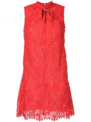 Кружевное платье Giamba. Цвет: красный