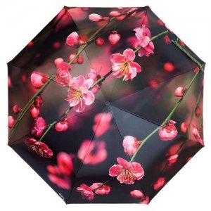 Зонт , коричневый RainLab. Цвет: черный