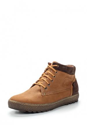 Ботинки Giatoma Niccoli. Цвет: коричневый