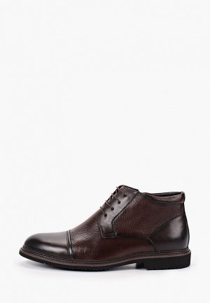 Ботинки Marco Lippi. Цвет: коричневый