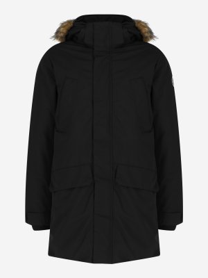 Куртка утепленная мужская Alden, Черный, размер 48 IcePeak. Цвет: черный