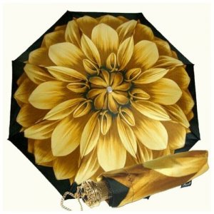 Зонт складной Pasotti 21273-6 Golden Astra (Зонты) ( Италия). Цвет: желтый/золотистый