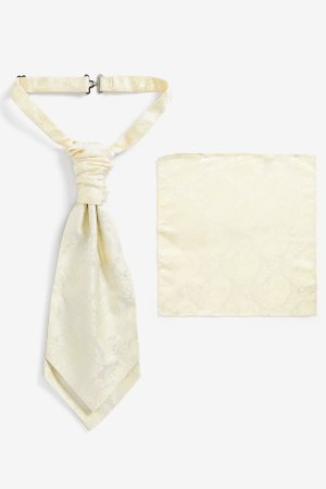 Комплект из галстука-бабочки и нагрудного платка, бежевый Next
