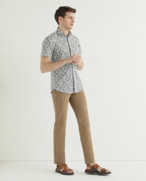 Мужские брюки-чиносы из норки обычного кроя , светло-коричневый Florentino. Цвет: коричневый