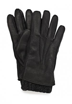 Перчатки UGG Australia. Цвет: черный