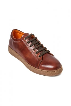 SNEAKERS British passport. Цвет: brown