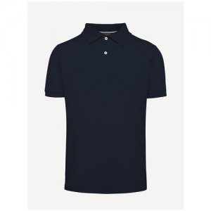 Рубашка-поло для мужчин M SUSTAINABLE цвет светло-синий, размер XS GEOX. Цвет: синий
