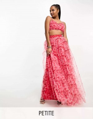 Кружево и бисер Эксклюзивная макси-юбка Petite из тюля красного розового цвета с цветочным принтом Lace & Beads