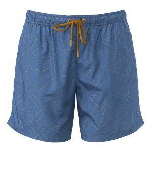 Мужские пляжные шорты CRUNA. Цвет: синий+принт