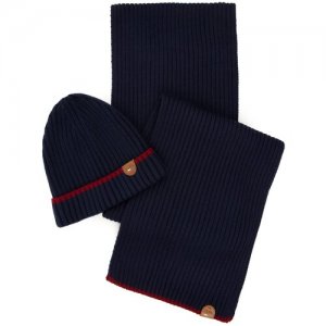 Комплект(шапка,шарф) U.S. Polo Assn. A081SZ0DH0HUGOSK20-VR033-1. Цвет: синий