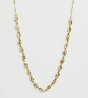 Позолоченное ожерелье-чокер с подвеской в форме раковины -Золотой Orelia