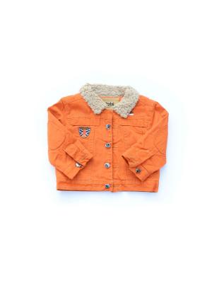 Куртка Pilota. Цвет: оранжевый