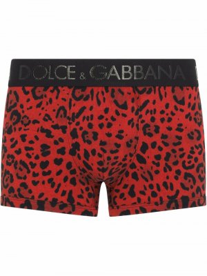 Боксеры с леопардовым принтом и логотипом Dolce & Gabbana. Цвет: красный
