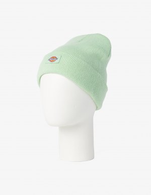 Маленькая шапка Gibsland с логотипом , зеленый Dickies