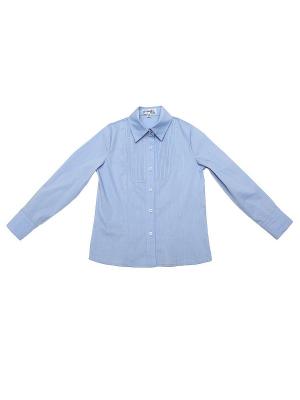 Блузка CIAO KIDS collection. Цвет: голубой