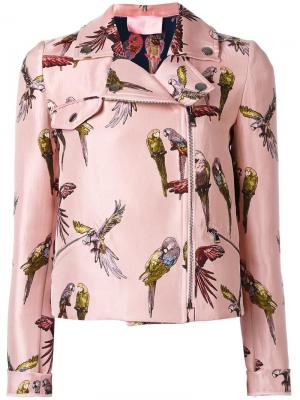 Байкерская куртка с принтом попугаев Giamba. Цвет: розовый и фиолетовый