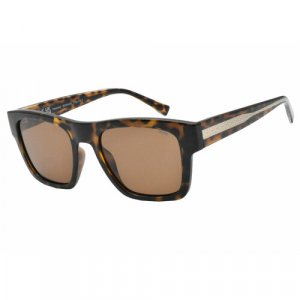 Солнцезащитные очки IB22440, коричневый, черный Invu. Цвет: коричневый/черный