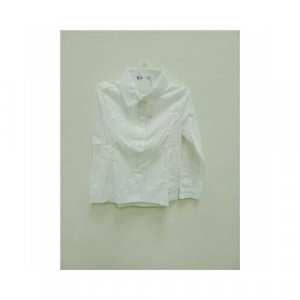 Блуза , размер 11 ЛЕТ / 146-72-6, белый Chadolini. Цвет: белый