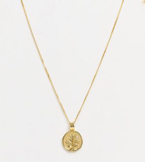 Ожерелье из стерлингового серебра с позолотой 18 карат и подвеской в монеты цветущим деревом -Золотистый Astrid & Miyu