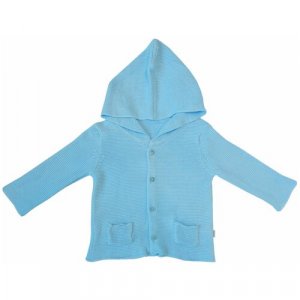 Пиджак детский, капюшон, карманы, размер 74, голубой Папитто. Цвет: голубой