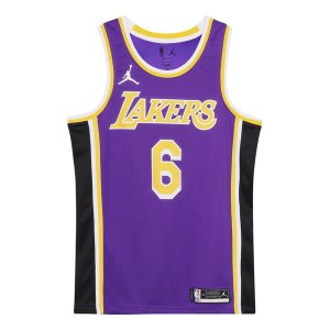 Майка Men's NBA Quick Dry Sports Basketball SW Fan Edition Version Los Angeles Lakers Lebron James No. 6 Purple Jersey, фиолетовый Nike