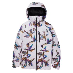 Куртка AK 2L GORE-TEX Embark, цвет Stout White Crystals Burton
