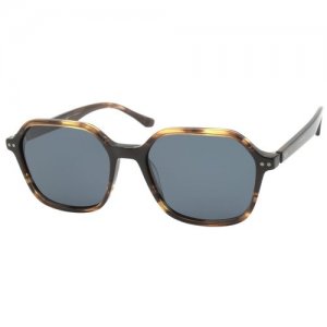 Солнцезащитные очки BULGET BG9177M E01. Цвет: коричневый