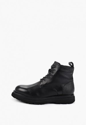 Ботинки Francesco Donni. Цвет: черный